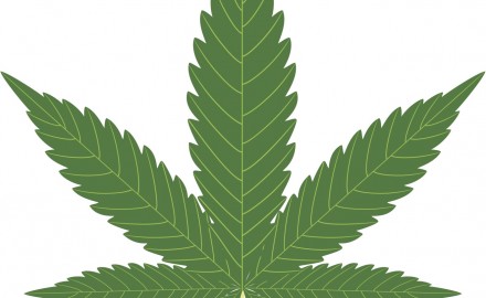 Colorado, Marijuana, Bitcoin, Federal Government, Law
