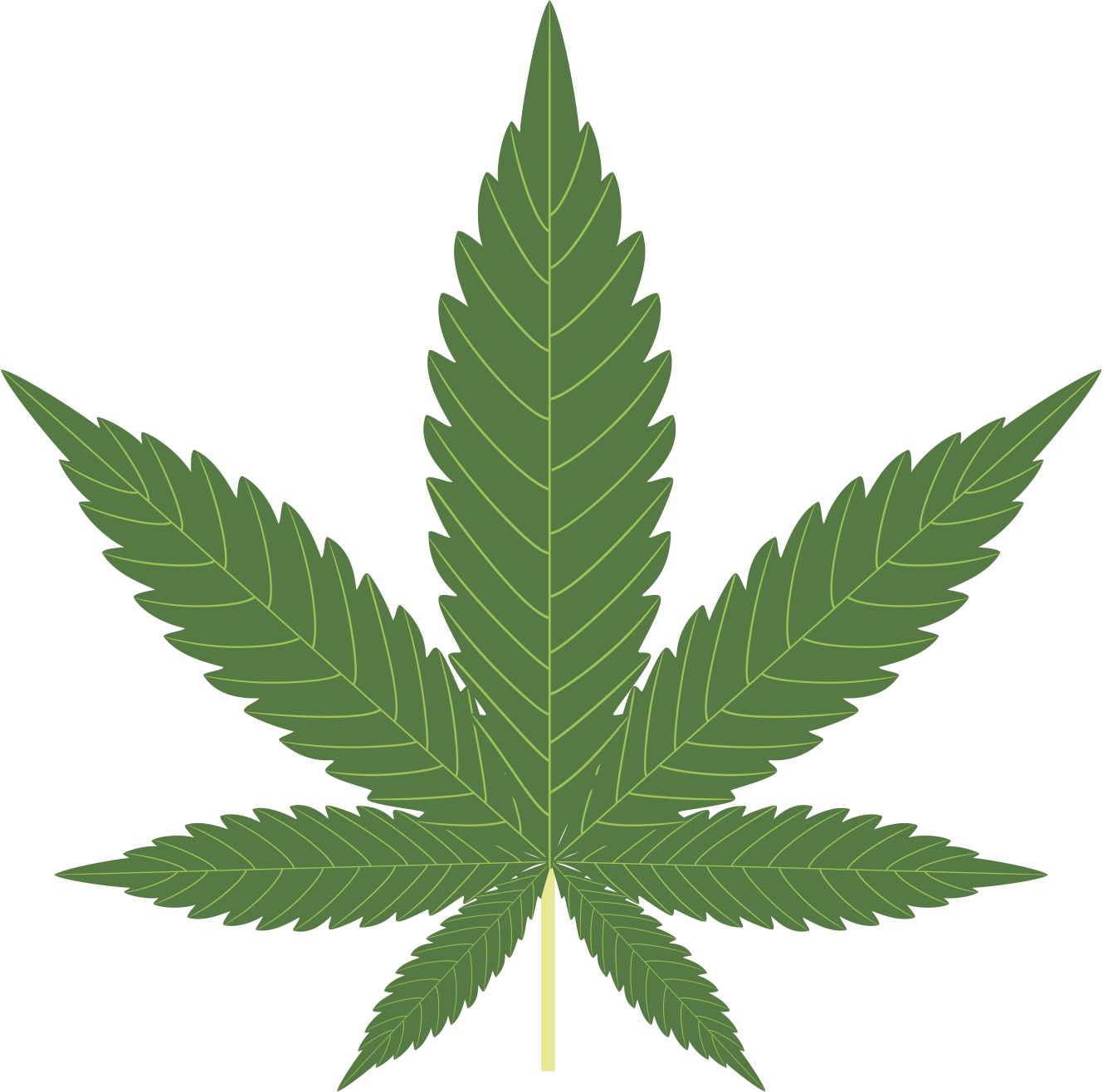 Colorado, Marijuana, Bitcoin, Federal Government, Law