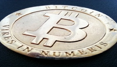 The Bitcoin Exchange Environment