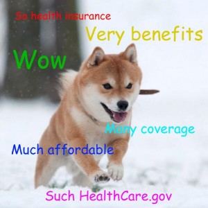 healthcare.doge
