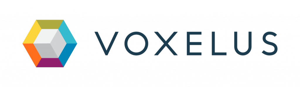 cryptocurrency voxel