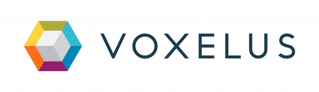 voxel cryptocurrency