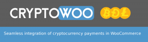 A Conversation with Felix Stein, Founder and CEO of CryptoWoo