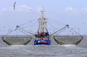 Blockchain to challenge illegal fishing, slavery in industry