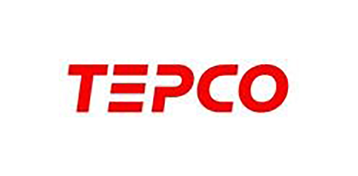 TEPCO joins global energy blockchain organization Energy Web Foundation